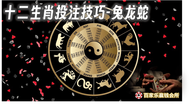 百家乐实战技巧(二)：百家乐十二生肖投注技巧